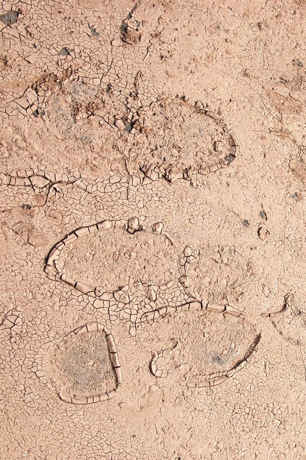 Footprint royalty free stock photography