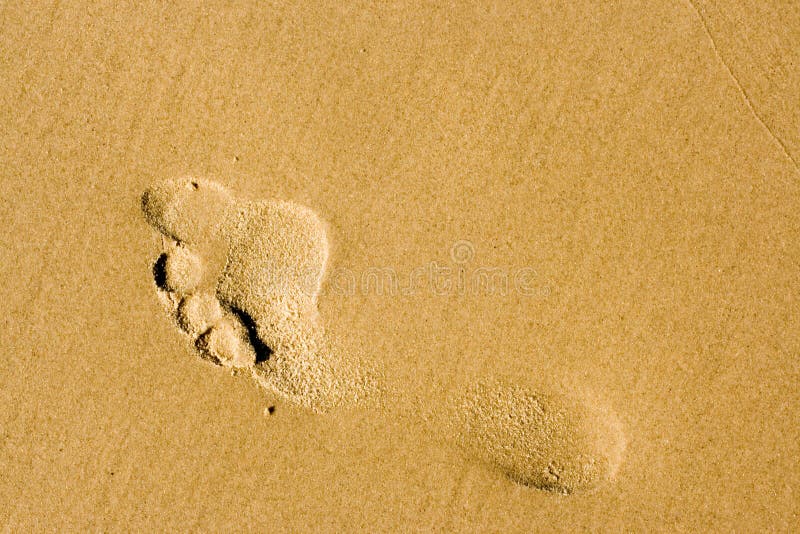 FOOTPRINT