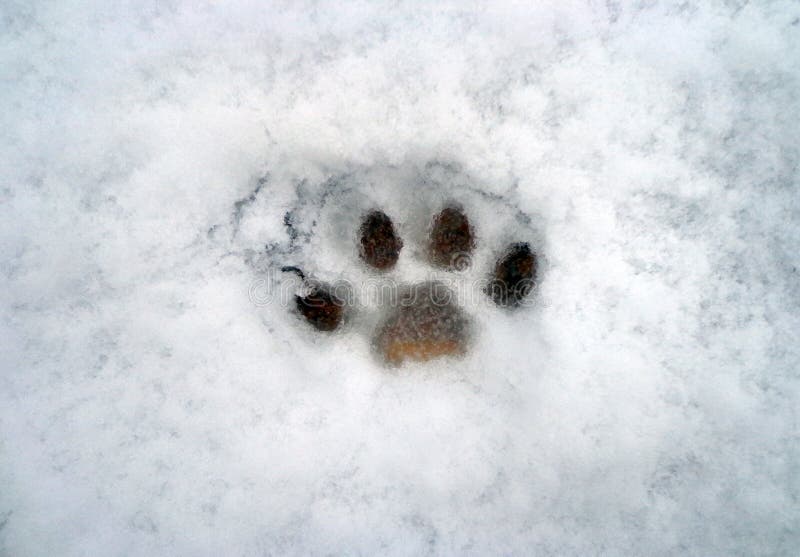 Footprint stock photography Footprint stock photography