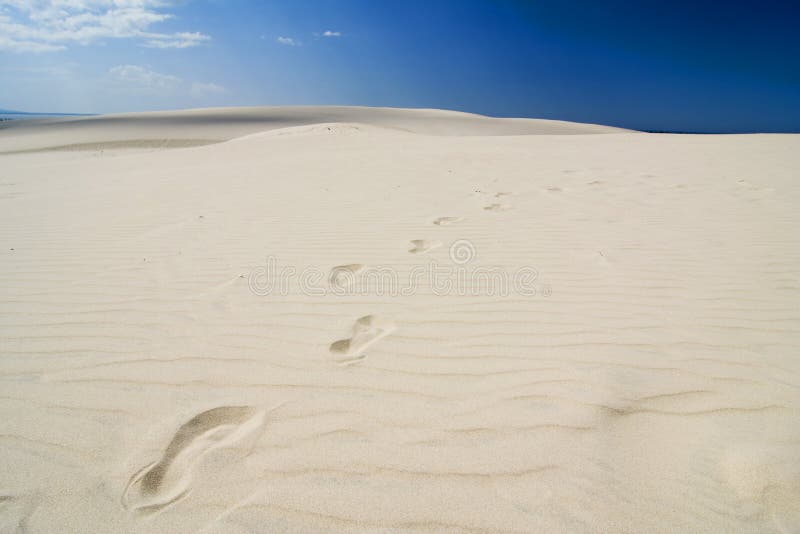 The footprint in desert