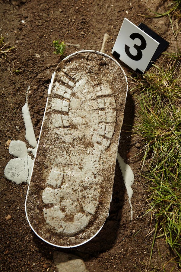 Collecting Footprints At A Crime Scene