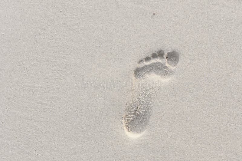 Footprint on the sand stock photo.