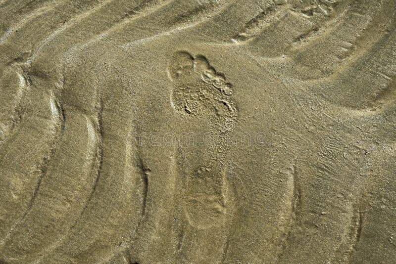 Footprint in the sand stock photo. Image of sand, activity 31413116