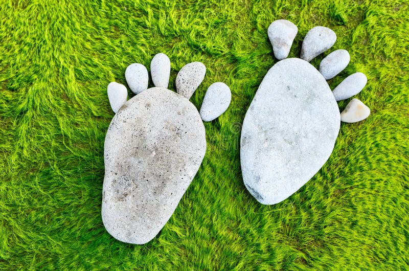 footprint-seaweed-pebbles-green-44941638.jpg