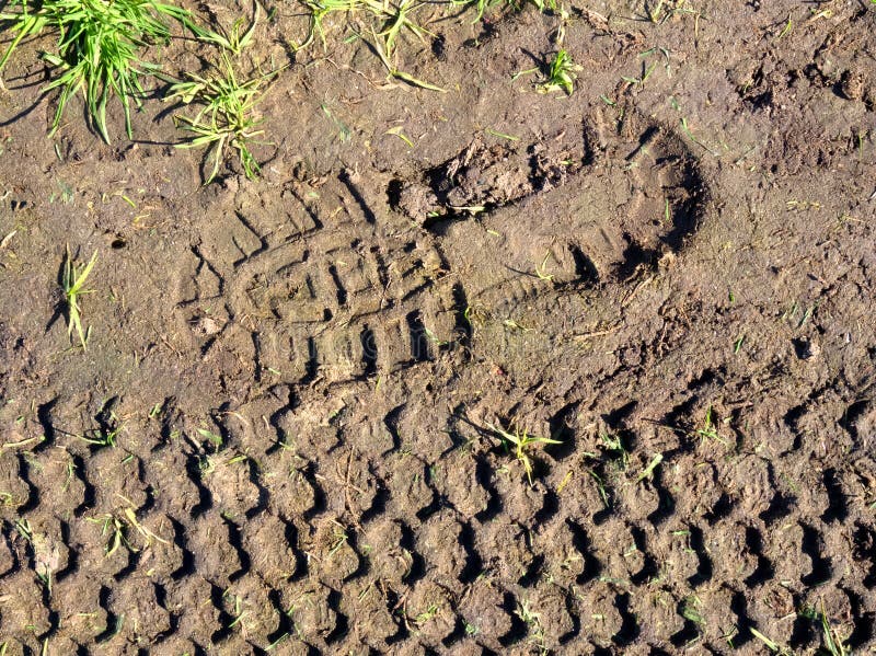 Footprint and tyre print stock image. Image of land, field 33007181