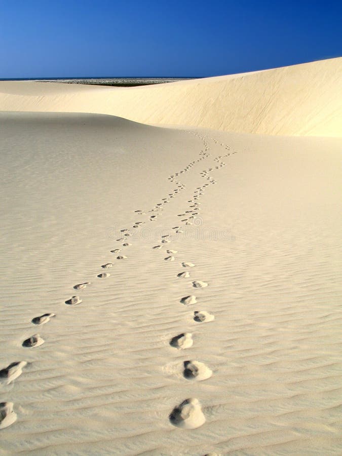 Footprints