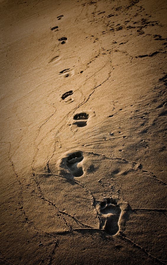 Footprints stock photo. Image of walking, summer, freedom - 9590830