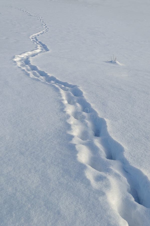 Footprints in deep snow