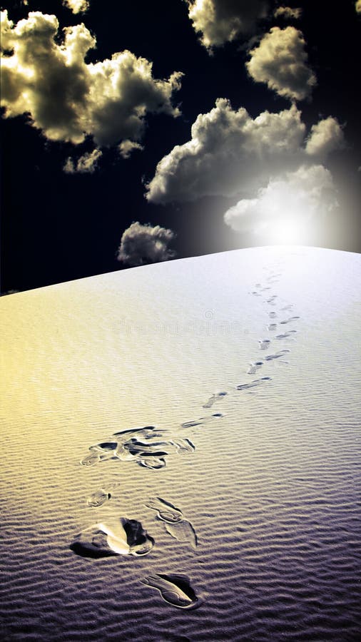 Footprints in Desert White Sands New Mexico Stock Photo Image of