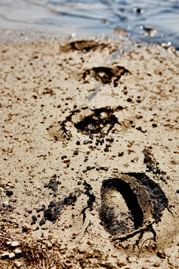 Footprint in the Dirt. Brown Road Dirt with Footprints. Background