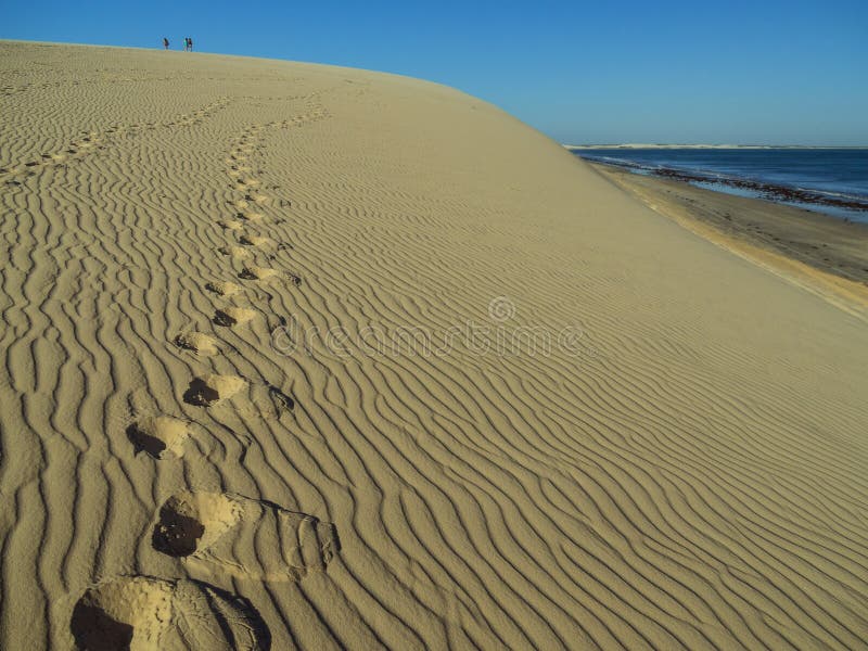 Footprints on dune