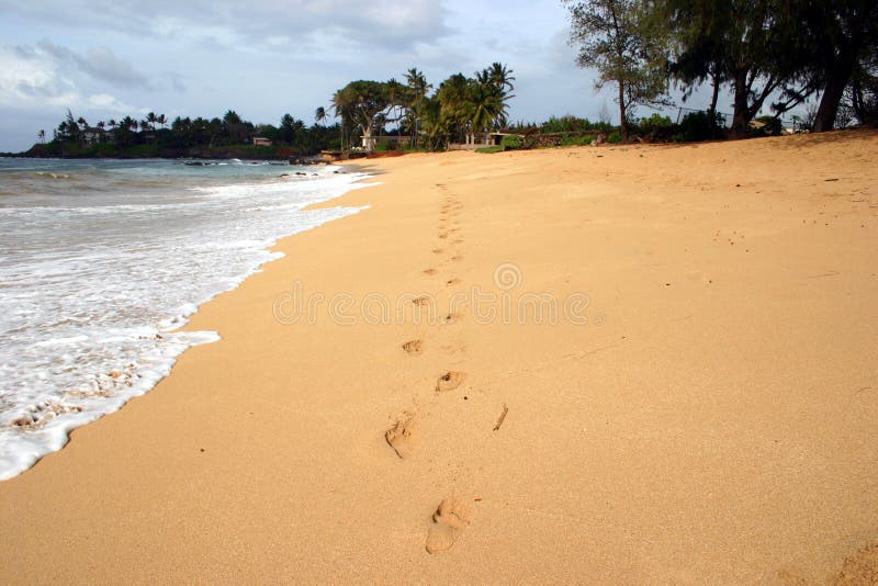 Download Footprints in the sand stock photo. Image of ocean, seaside - 7234