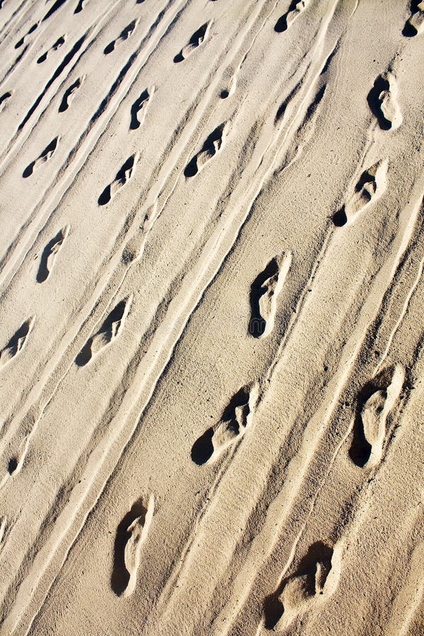 Footprints in the sand