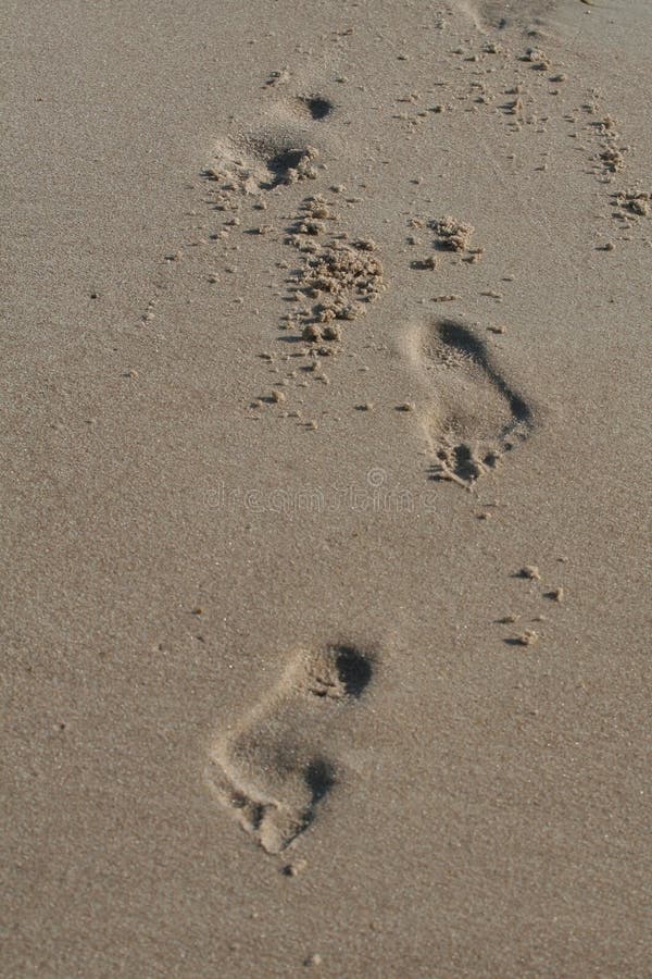 Footprints in the Sand