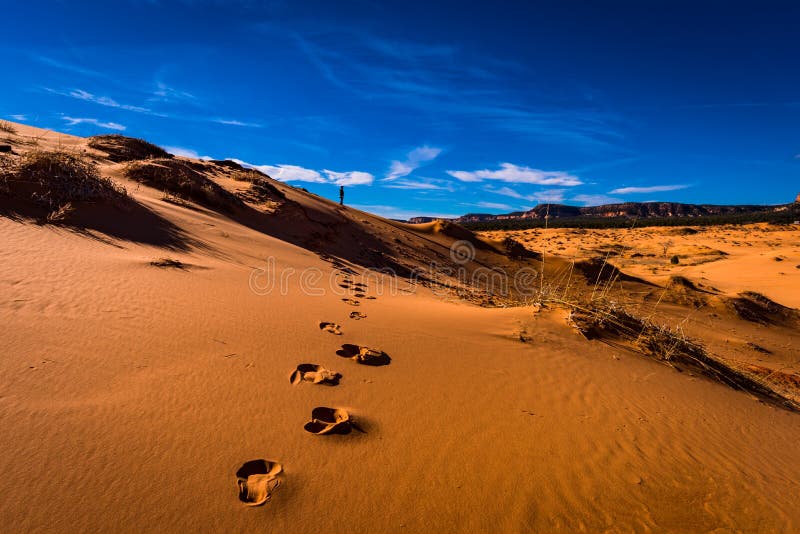 Footprints in the sand. alone in the desert