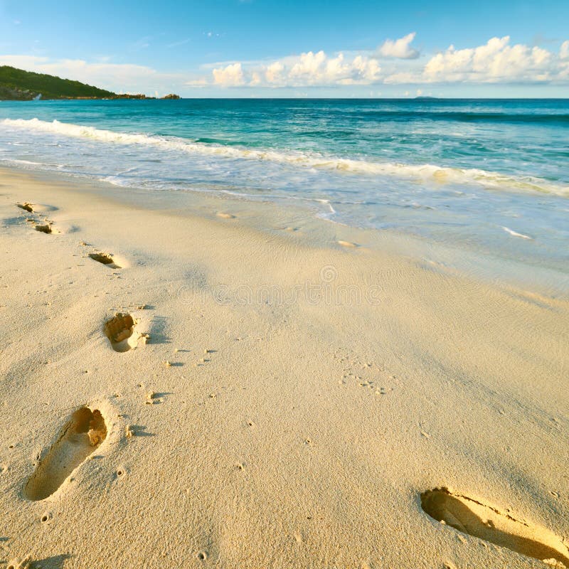 Footprints on Sand at Beautiful Beach Stock Image - Image of nature ...