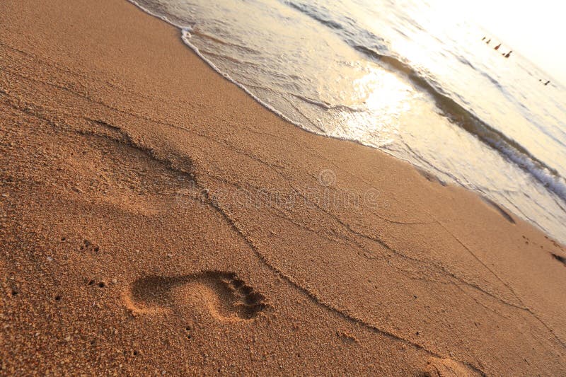 Footprints in the sand stock image. Image of activity 52227041
