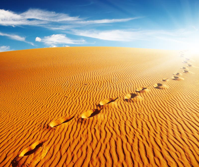 Footprints on sand dune royalty free stock photos