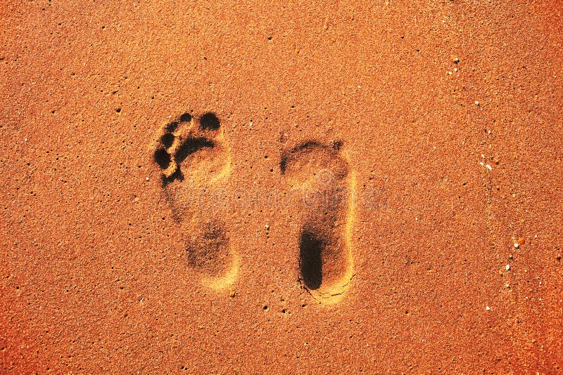 Footprints in the sand stock photo. Image of footprint - 130346654