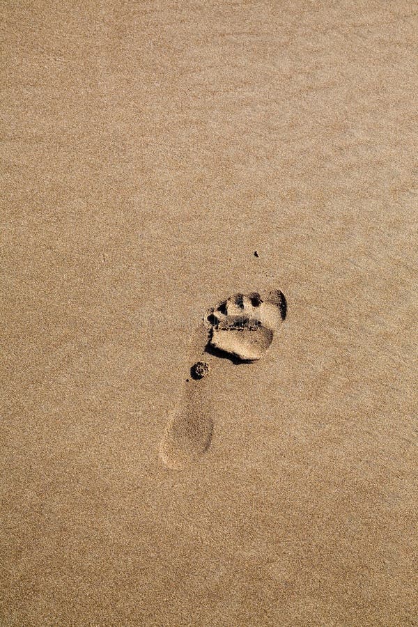 Footprints on sand stock photo. Image of background, steps - 4239758