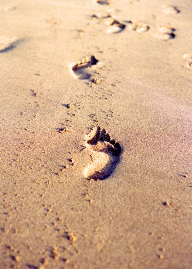Footprints on sandy beach stock photo Footprints on sandy beach stock photo