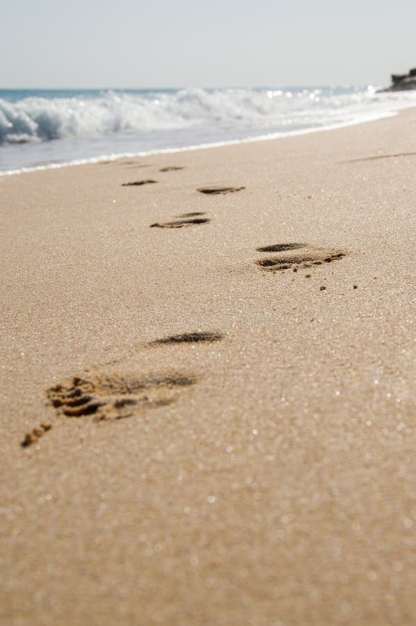 244 Beach Footprints Walking Away Photos - Free & Royalty-Free Stock ...