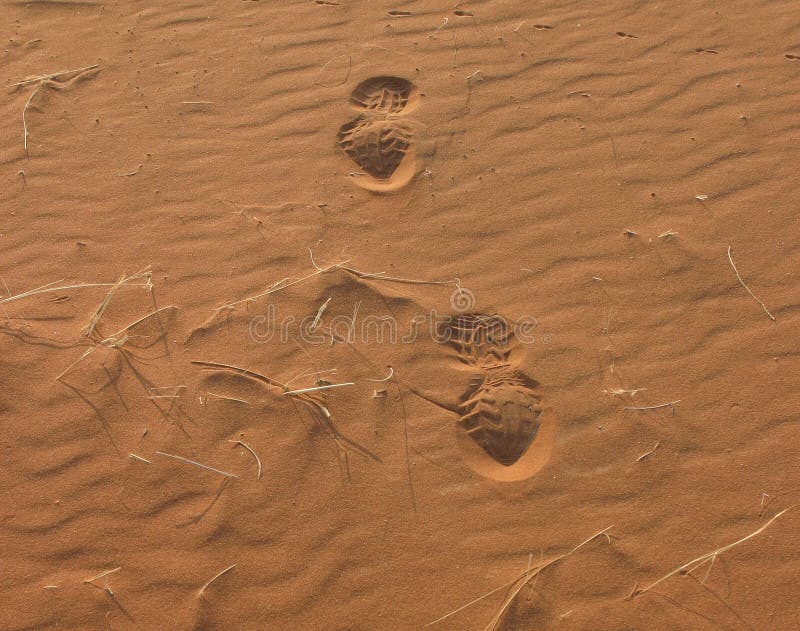 Footprints on sandy desert stock photos