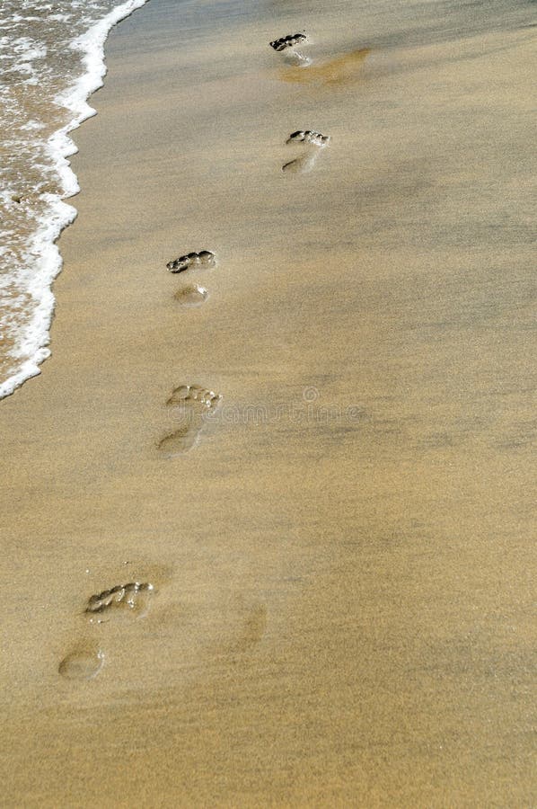 Footprints by the Sea stock photo. Image of footprints - 1004570