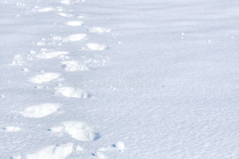Footprints in Snow stock image. Image of mountain, winter 12978393