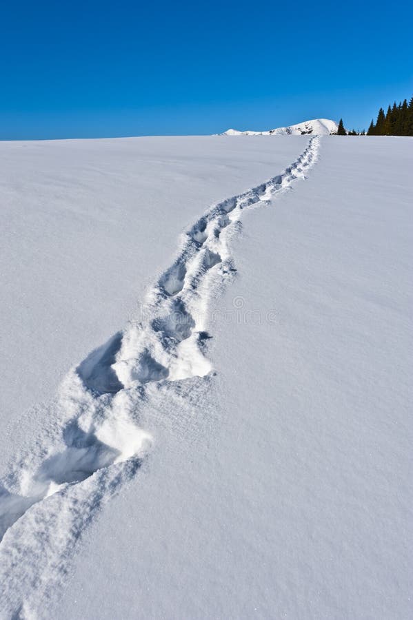 Footprints in the snow