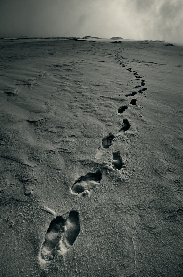 Footprints in Snow