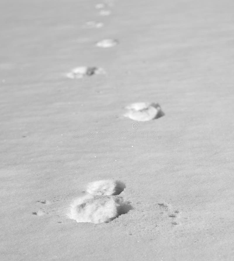 Footprints in the snow stock photo. Image of trace, north - 23187560