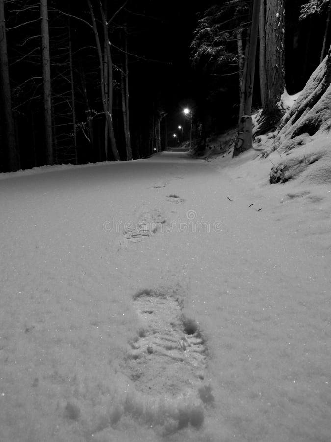 Footprints in the Snow stock image. Image of road, darkness 23486387