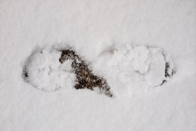 On the Snow the Imprint of the Palm, Winter and Cold Stock Photo ...