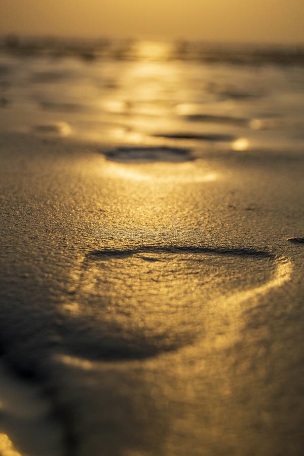 Footsteps on the beach