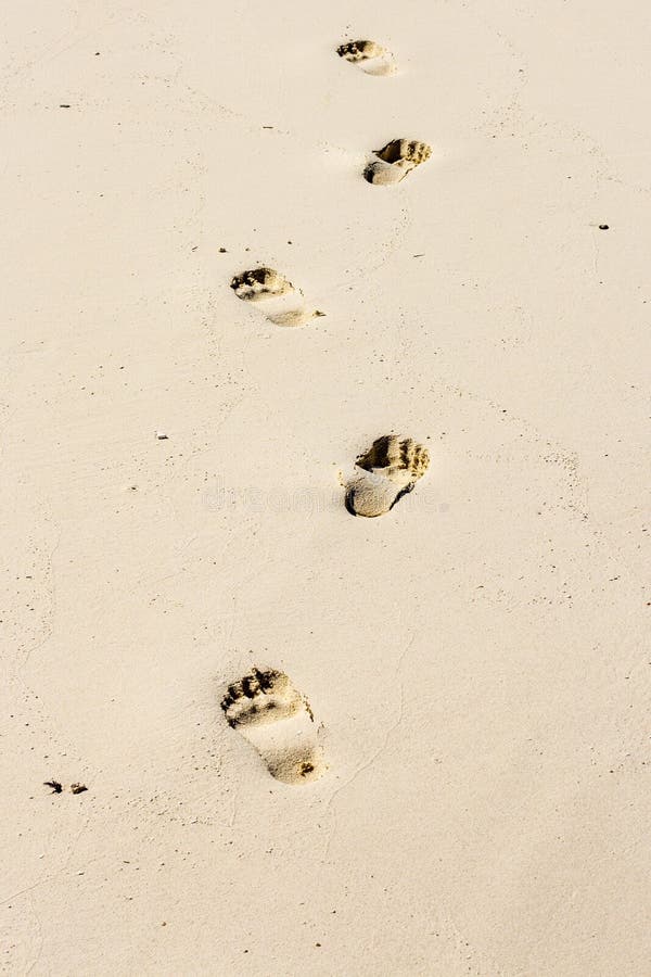 4,156 Footsteps Path Photos - Free & Royalty-Free Stock Photos from ...