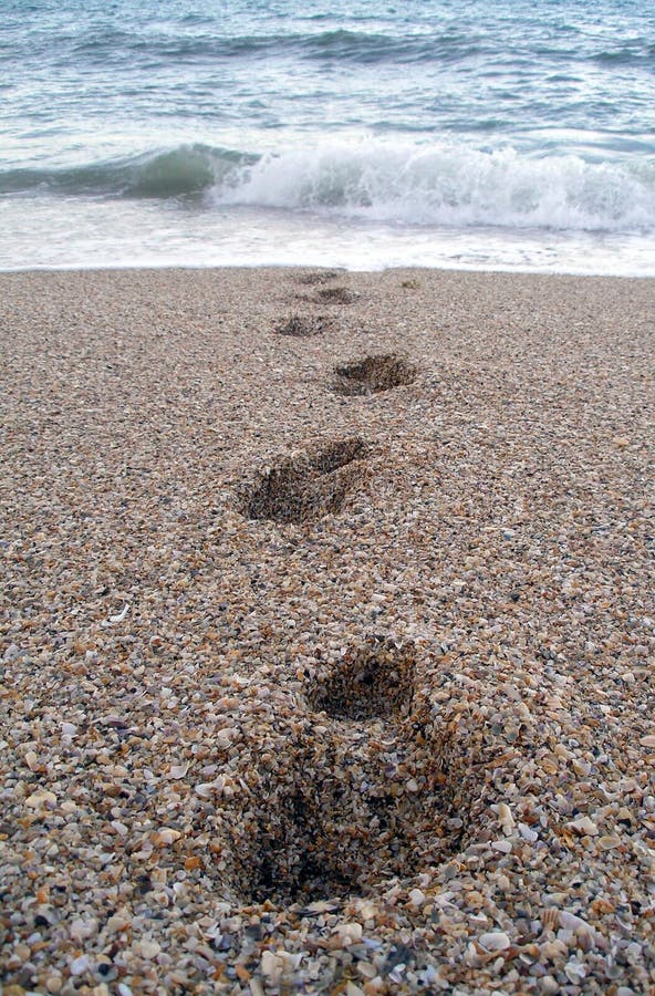 Pistas sobre el Playa venir Océano.