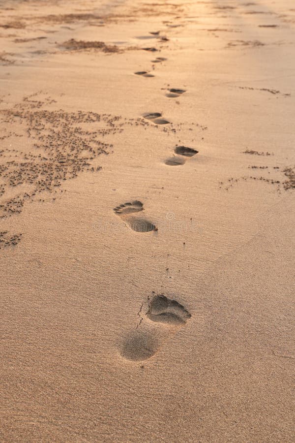 Footsteps in Sand stock image. Image of coast, beach - 181579235