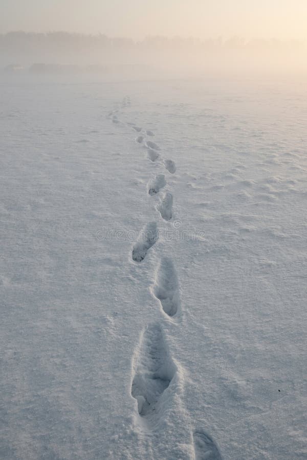 Footsteps in snow