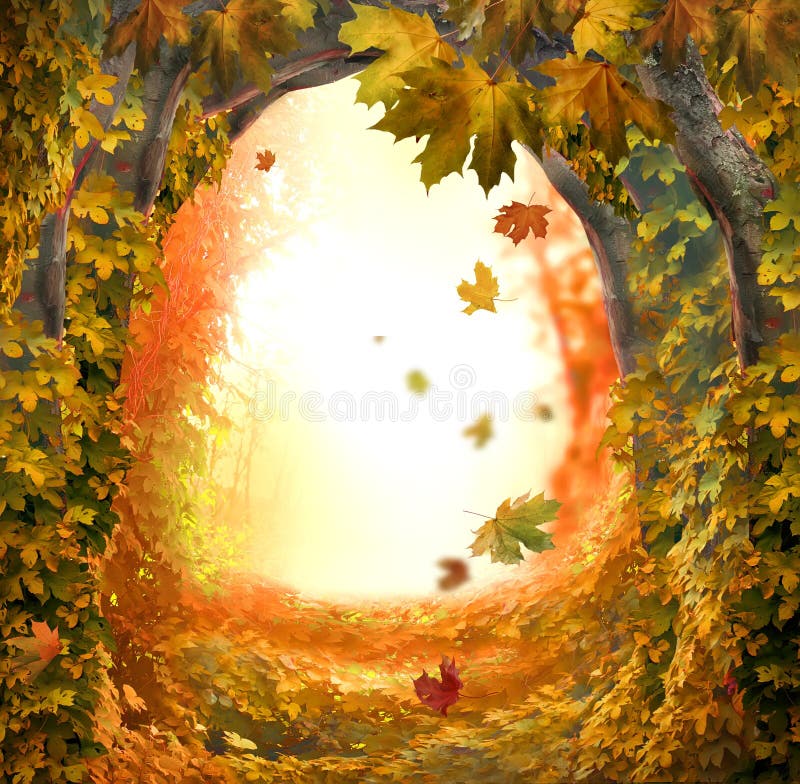 Foret Magique Image Stock Image Du Lumineux Voute Magie