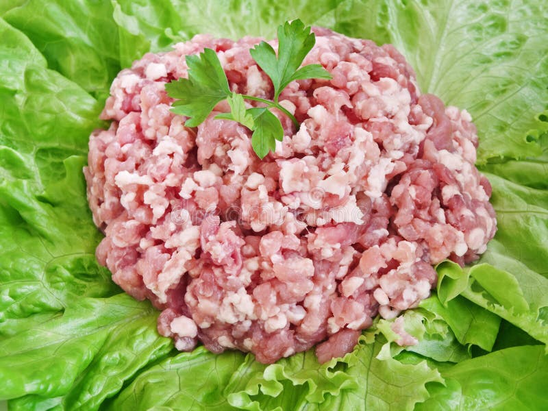 Forcemeat stock photo. Image of close, foodstuff, minced 16332388