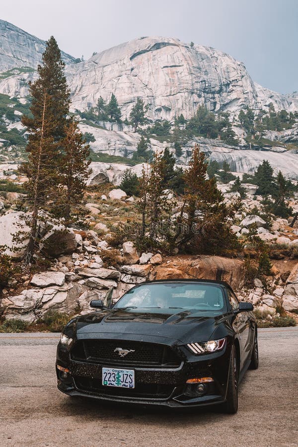  Ford Mustang Negro GT     Que Viaja a Través Del Parque Nacional De Yosemite Imagen editorial