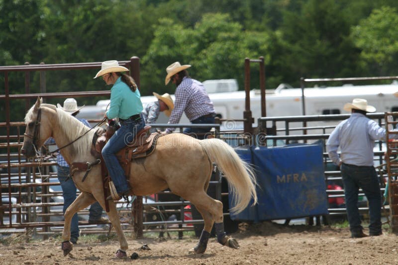 117 Fordland Rodeo 2023 Stock Photos Free & RoyaltyFree Stock Photos