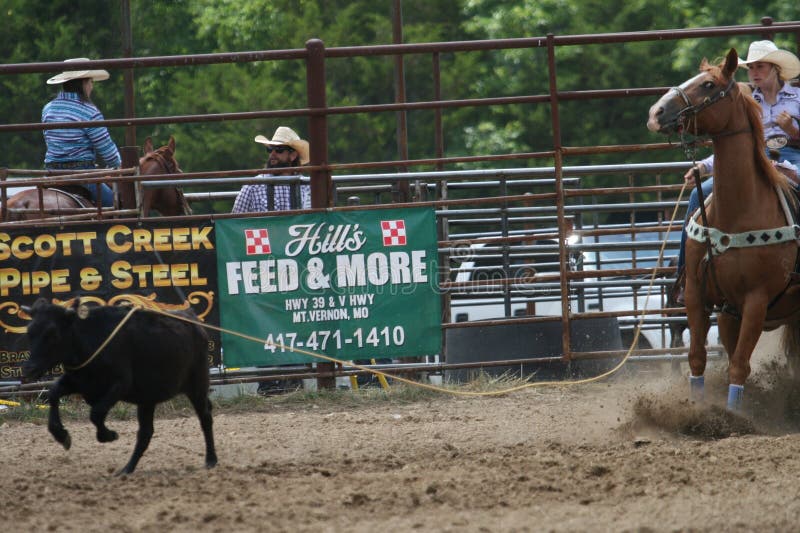 117 Fordland Rodeo 2023 Stock Photos Free & RoyaltyFree Stock Photos