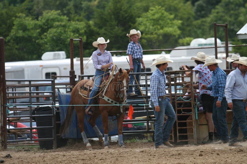 Fordland Rodeo 2023 XXXXV editorial stock image. Image of stallion