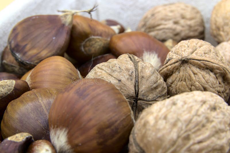 In the Foreground the Chestnuts and Walnuts Stock Photo Image of