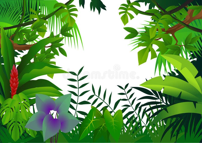 Forest vector illustration