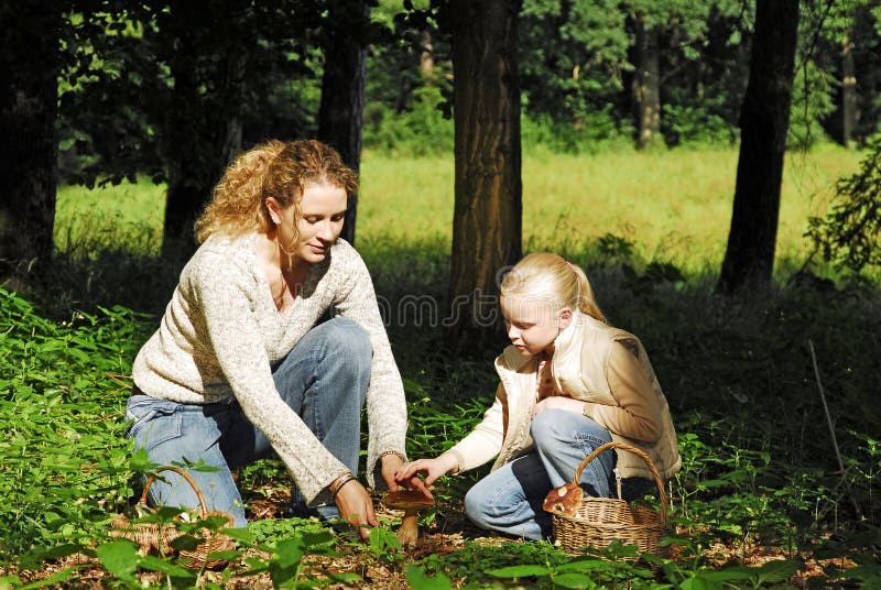 In the forest