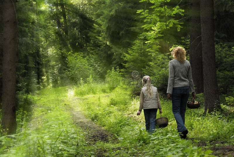 In the forest