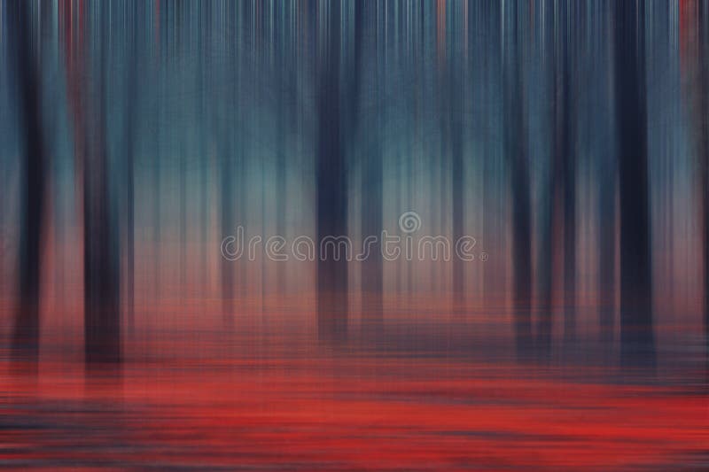 Forest abstract colorful